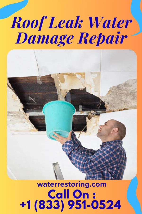 Roof Leak Water Damage Repair in Dodson, MT
